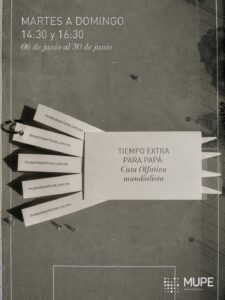 CATA OLFATIVA JUNIO