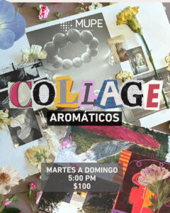 COLLAGE AROMÁTICOS